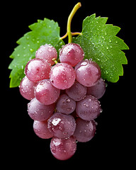 Fototapeta premium Grape are healthy food. And it is a useful fruit.