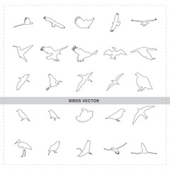 Minimalist bird sketches, simple line drawings, various bird species, flying and standing poses, seagulls, penguins, birds of prey, songbirds, black and white illustrations,