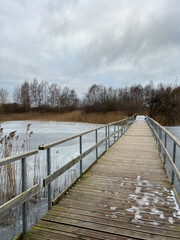 Obraz premium A frosty wooden path across a frozen marsh. A calm winter scene, showcasing a frosty wooden pathway through a frozen wetland, surrounded by bare trees, reeds, and icy tranquility.
