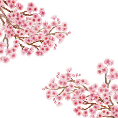 Frame of branches with pink cherry blossoms of the Japanese Hanami festival isolated on a white background. Botanical design in lilac pink color, in sunrise palette. Watercolor template for wedding © el_suhova