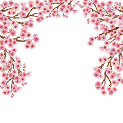 Frame of branches with pink cherry blossoms of the Japanese Hanami festival isolated on a white background. Botanical design in lilac pink color, in sunrise palette. Watercolor template for wedding
