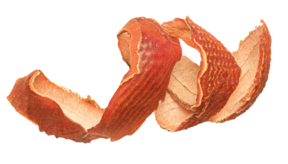 spiral apple peel on isolated background for food and natural texture designs
