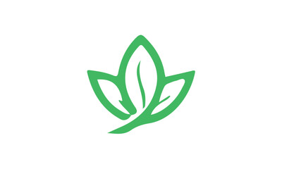 Green leaf logo