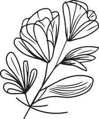 black and white lily