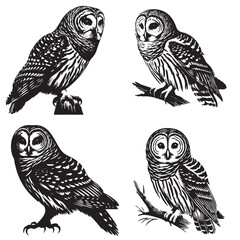 High-Quality Vector Silhouette of a Barred Owl on White Background