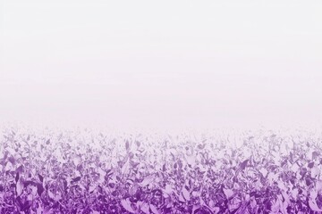 Obraz premium Floral Field Gradient: A field of flowers transitioning from deep purple at the forefront to soft pinks and whites in the background.