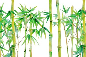 Obraz premium Bamboo watercolor border backgrounds plant freshness.