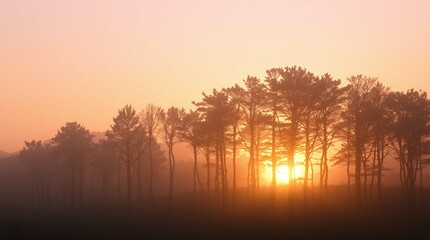 sunrise in the mountains