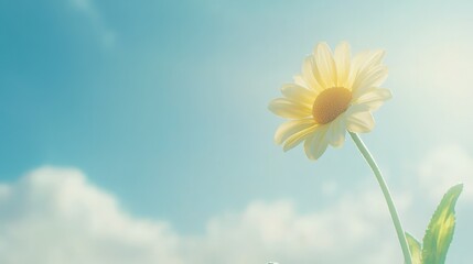 Closeup of a radiant yellow flower against serene blue sky vibrant