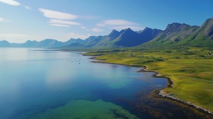 herd of reindeers on Senja island in northern Norway