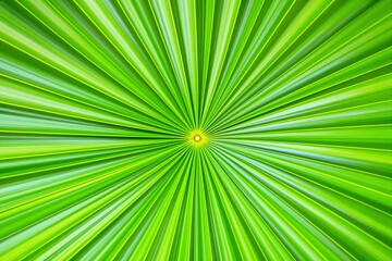 Obraz premium Close-up of vibrant green palm leaf with radiating pattern and light center point on a bright background. Concept of nature and symmetry.