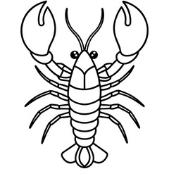 Lobster Outline Illustration