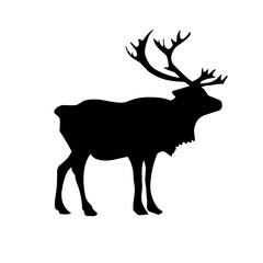 Deer Vector Illustration Set