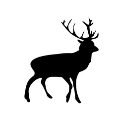 Deer Vector Illustration Set