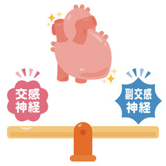 バランスの取れた自律神経と健康的な心臓のイラスト