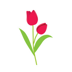 Obraz premium Beautiful tulip flower drawing art cartoon vector symbol design image