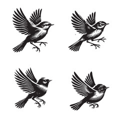 High-Quality Vector Silhouette of a Flying Canarian Chiffchaff on White Background