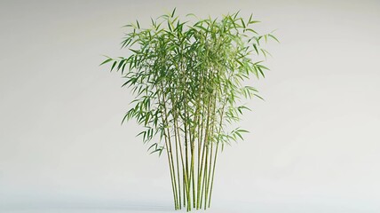 3D Bamboo Plant Cutout with Thin Straight Stalks (Generative AI)