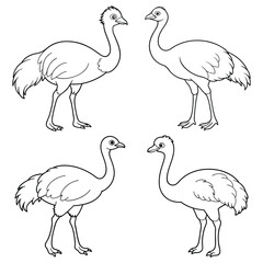 Naklejka premium set of emu birds outline vector coloring page 