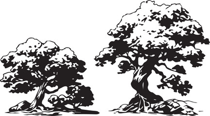 Fototapeta premium Set Trees. Hand drawn vector illustration 