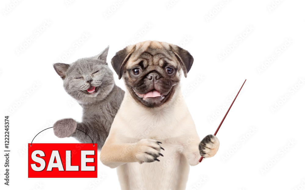 Fototapete happy cat and pug puppy look at camera. dog points away on empty space. kitten shows signboard with 