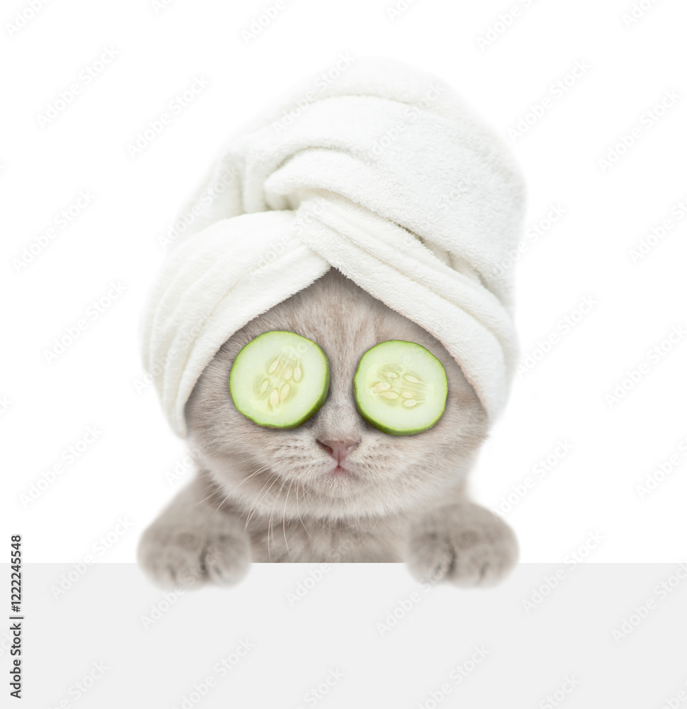 Poster Cute kitten with towel on it head and with slices of cucumber on it eyes looks above blank white banner. isolated on white background