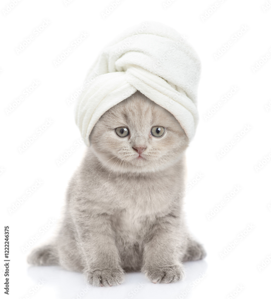 Fototapete cute kitten with towel on it head sits in front view and looks at camera. isolated on white backgrou