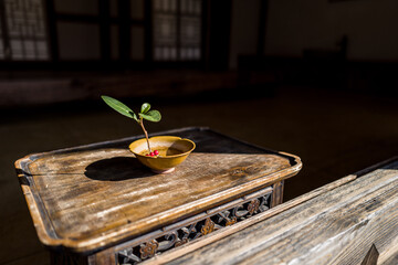 Korean Traditional Hanok Village Scenery
