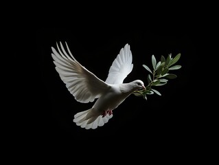 dove in flight, olive branch, dark background, minimalist composition