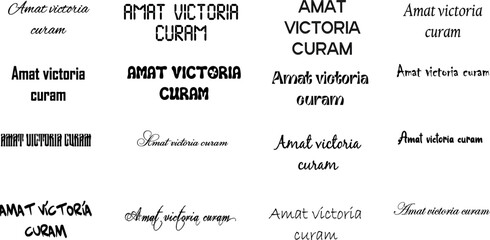 antique, vintage, quote, roman, hand drawn, font, sketch, inspire, print, lifestyle, handwritten, message, positive, favors, victory, ink, grunge, graphic, saying, motivational, vector, design,