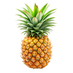 Ripe Juicy Pineapple Tropical Fruit Isolated Black Background Food Diet Sweet Fresh Green 