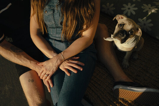 Couple snuggling in the van at sunset with their puppy
