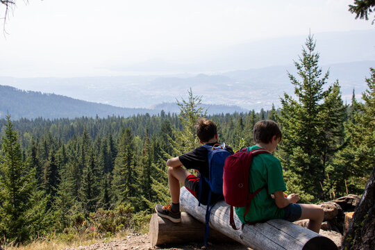 Two boys sitting on a log overlooking scenic valley with backpacks