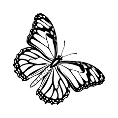 Butterfly Vector Style Illustration Clip Art