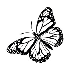 Butterfly Vector Style Illustration Clip Art