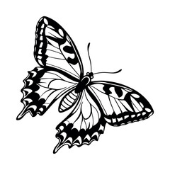 Butterfly Vector Style Illustration Clip Art