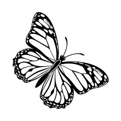Butterfly Vector Style Illustration Clip Art