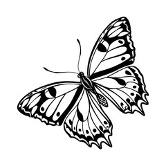 Butterfly Vector Style Illustration Clip Art