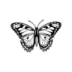 Butterfly Vector Style Illustration Clip Art