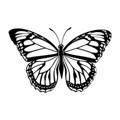 Butterfly Vector Style Illustration Clip Art