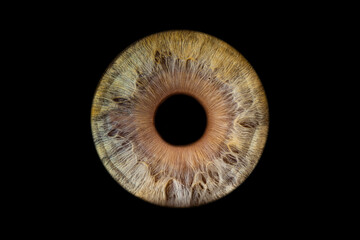 Iris humain artistique- photographie yeux
