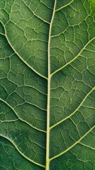 Fototapeta premium Vibrant Green Leaf Texture Background, Nature's Lush Foliage, Fresh Spring Leaves, Botanical Pattern, Generative AI