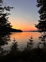 Summer in the South of France