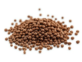 pile of brown grains, high-angle shot, white background