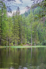 Obraz premium Beautiful landscape with the mountain lake Grner See in Austria and the forest reflected in the water.