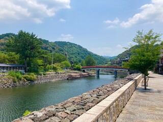 Naklejka premium Uji