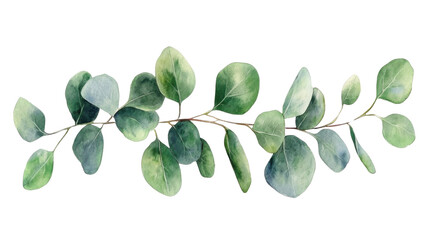 Obraz premium Watercolor bouquet of leaves on transparent background