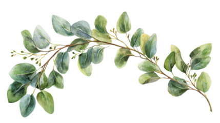 Watercolor bouquet of leaves on transparent background