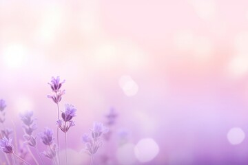 Naklejka premium Herat bokeh lavender backgrounds outdoors.