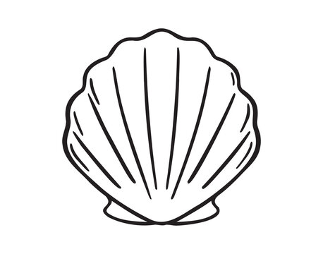 Seashell top view doodle hand drawn icon. Outline drawing Seashell top view line clipart symbol